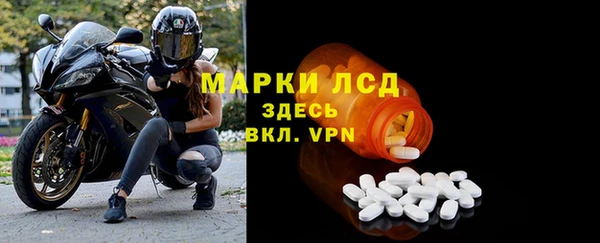стафф Коряжма