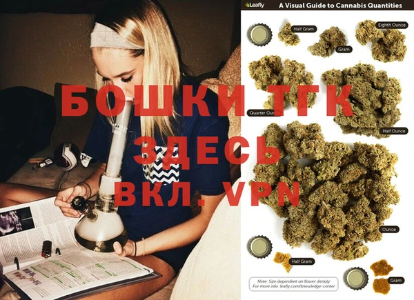 стафф Коряжма