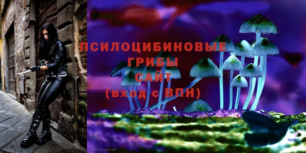 ECSTASY Корсаков