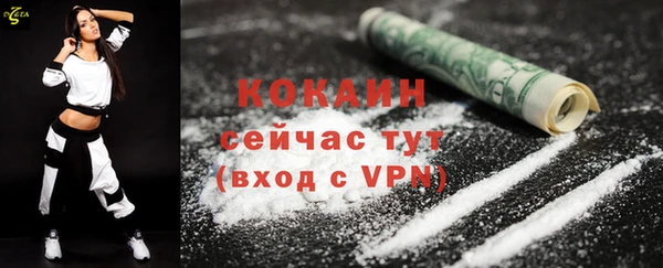 ECSTASY Корсаков