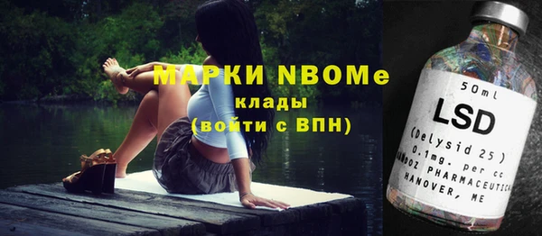 стафф Коряжма