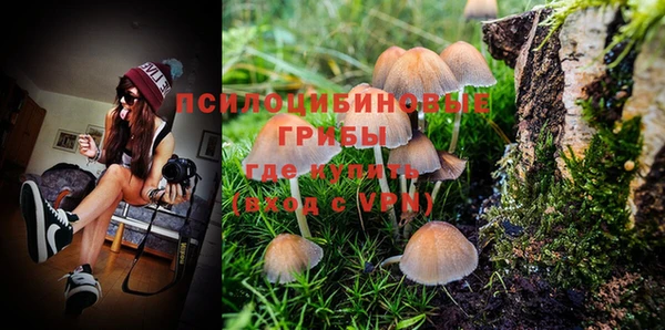 хмурый Костерёво