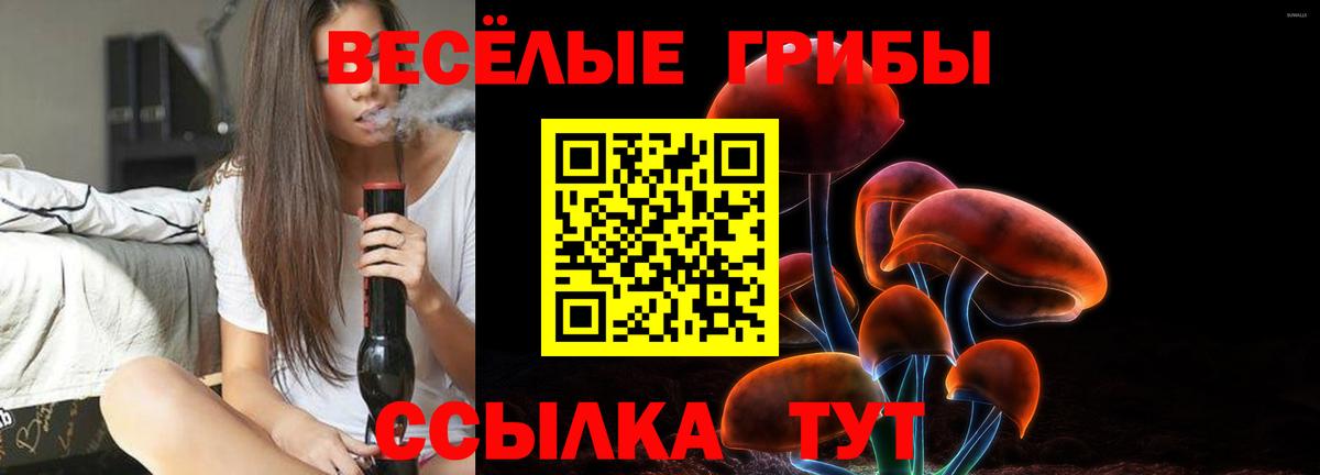 Галлюциногенные грибы мицелий  Вход с VPN  продажа наркотиков  Альметьевск 